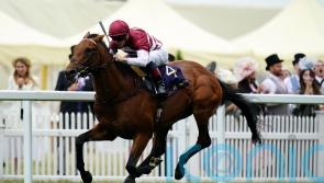 Options open for Missed The Cut with overseas targets beckoning