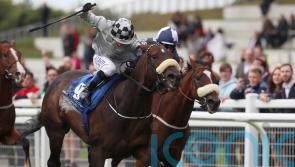Romantic Proposal under consideration for July Cup