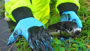 Dairy giant fined £1.5m for breaching pollution limits