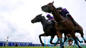 Crispy Cat hunting Railway compensation after luckless Ascot run