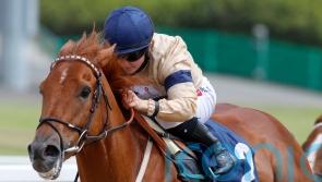 Glen Shiel primed for Chipchase assignment