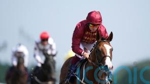 Superlative option for unbeaten juvenile Lion Of War