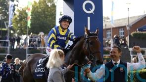 Trueshan ‘ready for a race’ ahead of Northumberland Plate date