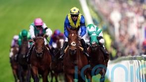 Derby hero Desert Crown backed to shine over shorter trips