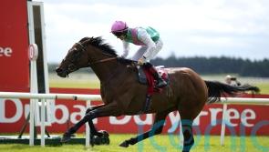 Westover dominates for Irish Derby crown