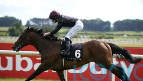 Aikhal impresses O’Brien with conclusive Curragh success