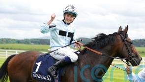 Marquand: No reason Alenquer will not find more improvement