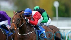 Newmarket spin unlikely for Salisbury scorer Benefit