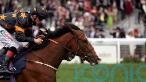 Resurgent Rohaan on the up following Wokingham repeat