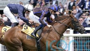 Condon has York in mind for Teresa Mendoza