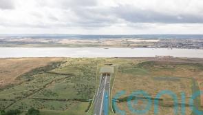 Thames road tunnel scheme to plant million trees to address environmental impact