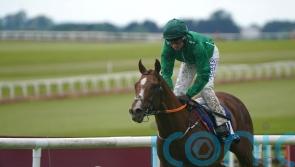 Irish Cesarewitch target for HMS Seahorse