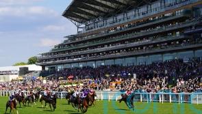 Rocket Rodney ready to roar in Dragon Stakes