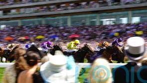 Prix Jean Prat a back-up option for Perfect Power