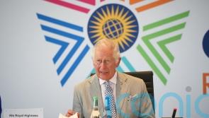 Charles &lsquo;would never again&rsquo; handle large cash donations for his charities