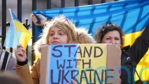 Plan for 500 modular homes to help house Ukrainian refugees arriving in Ireland