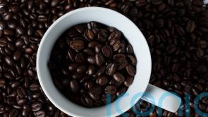 Lavazza in ‘open’ talks with UK retailers as coffee bean costs surge