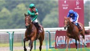 French Derby hero Vadeni heads six chasing Eclipse crown
