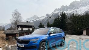 Long-term report: Is there no such thing as the perfect family car?