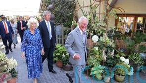 Duchy of Cornwall’s total assets rise by nearly £93 million to £1.2 billion