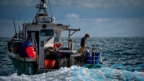 Fishing industry warns of ‘frightening’ future due to reduced access to waters