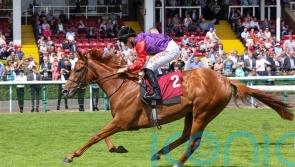 Desert Hero earns Derby quotes with victory at Haydock