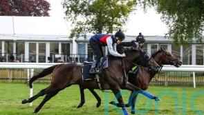 Artorius pleases in Newmarket spin before July Cup bid