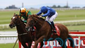 Hurricane Lane promises to be ‘sharper model’ in Grand Prix de Saint-Cloud
