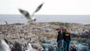 Bird flu closes the Farne Islands to visitors