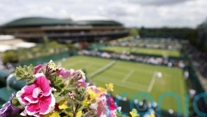 Bug hotel and electric vehicles among green developments at Wimbledon 2022