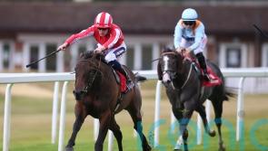 Rocket Rodney powers to Dragon Stakes victory