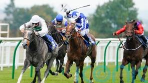 Prescott thrilled with Alpinista as Arc bid now looms large