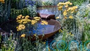 Plant with climate change in mind and let your lawn go brown, gardeners urged