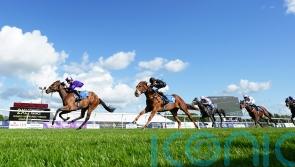 Tagline set for Lezoo rematch at Newmarket on Friday