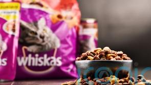 Whiskas owner suspends supply of pet food to Tesco in pricing row