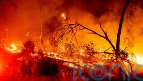 California forest fire temporarily strands July 4 revellers