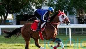 Japanese challenger King Hermes limbers up for July Cup