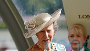 Anne attends garden party at Hillsborough Castle