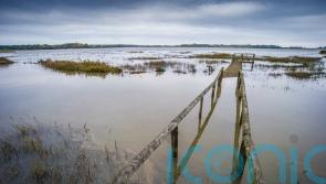 Wildlife Trusts: Nature reserves face hotter temperatures, wildfires and floods