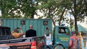 Almost 900 inmates escape as jihadis attack prison in Nigeria’s capital