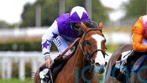 Goodwood possibility for Calling The Wind