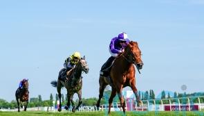 Persian Force seeking another July Stakes honour for Hannon