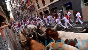 First bull run held in Pamplona as festival returns following pandemic