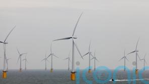 Price of offshore wind power falls to record low