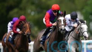 Funny Story makes promising start at Newmarket