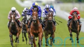 Connections expecting ‘very big run’ from Flotus at York