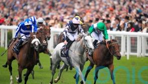 Lord Glitters bows out after sparkling career