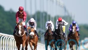 Lion Of War steps up for Superlative challenge