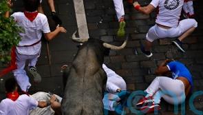 Two gored in third bull run of San Fermin Festival