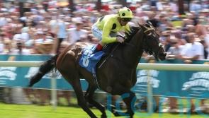 Without A Fight lands knockout blow at York